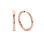 BRINCOS TISENTO - PRATA 925 (7,7GR)