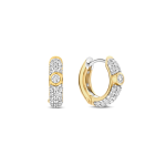 BRINCOS TISENTO - PRATA DOURADA 925 (5,45GR)